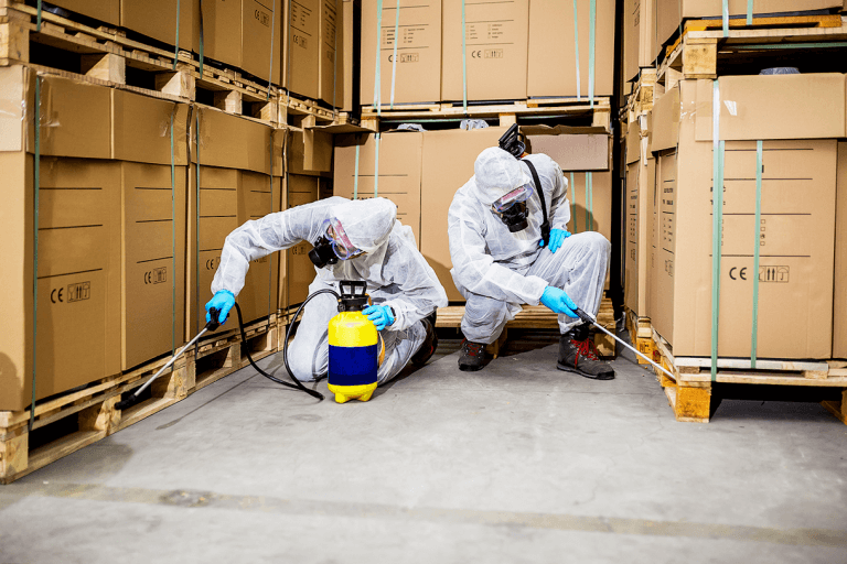 عقد مكافحة حشرات بالدمام معتمد من بلدي لتجديد الرخصة