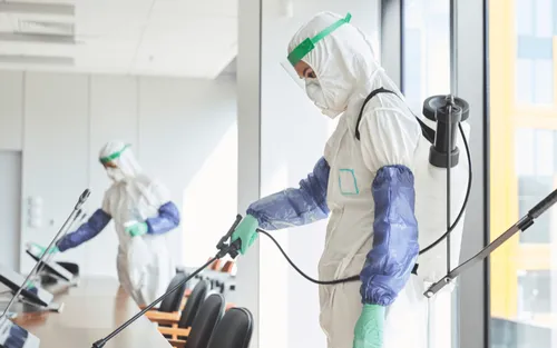 شركة مكافحة حشرات بالخبر